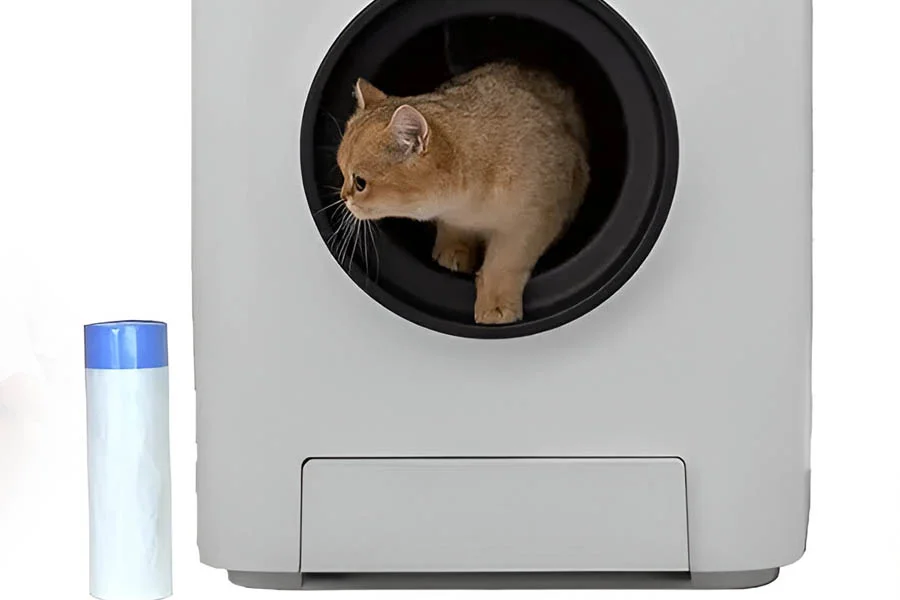 automatic kitten litter box